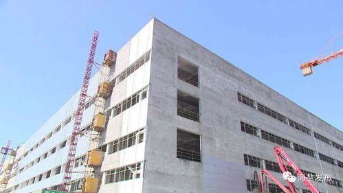 今年,海鹽這批投資瞄準(zhǔn)百億